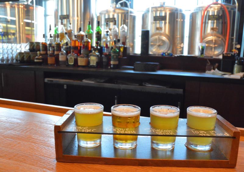 Iron Hill Brewery and Restaurant celebrates National IPA Day Cape Gazette